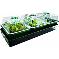 Bio Green Productos de Cultivo estación de Cultivo Hollandia- Multicolor